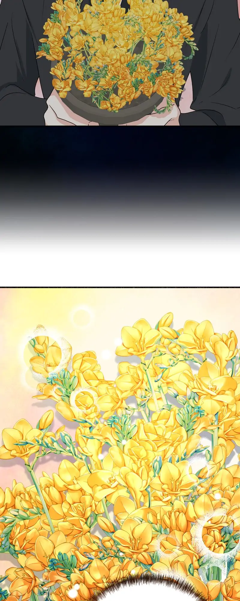 32997704 800 2000 156124