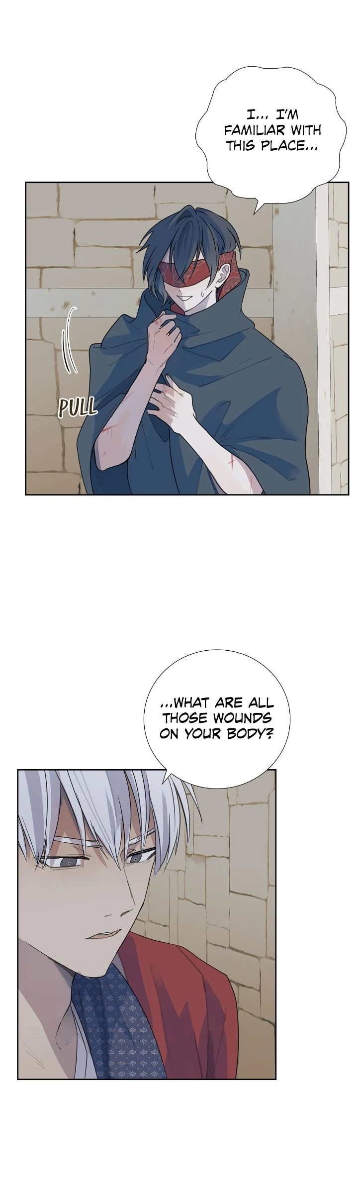 83280317 720 2400 101116