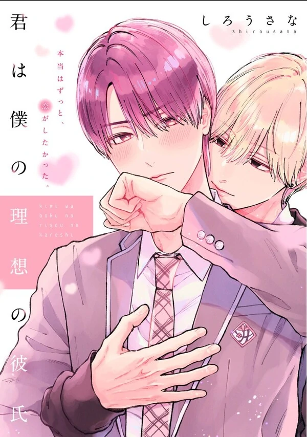 Kimi wa Boku no Risou no Kareshi